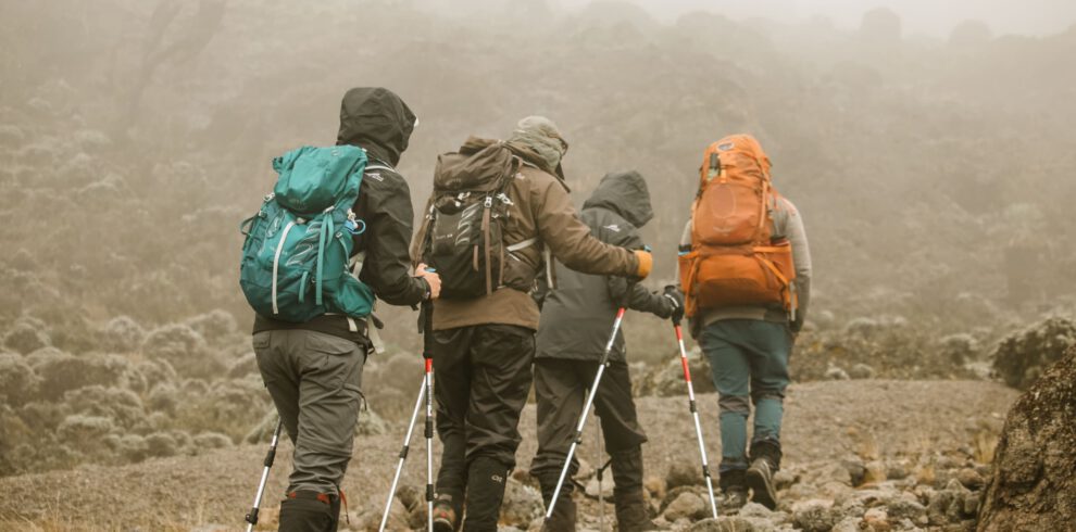 WhatsApp Image 2025-04-11 at 09.46.14 (1)